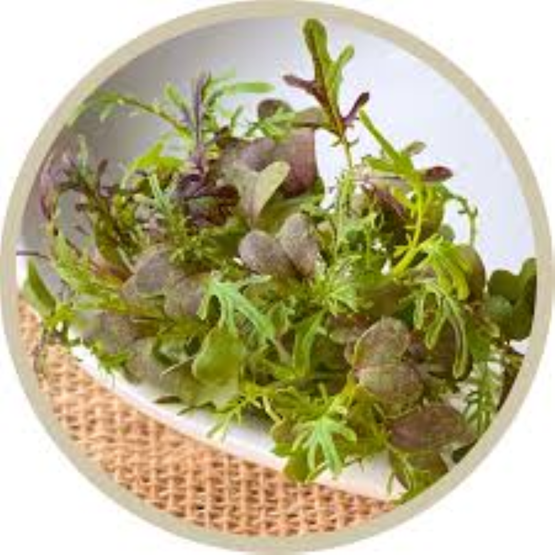 GARNISH GARDEN MICROGEENS MIZUNA